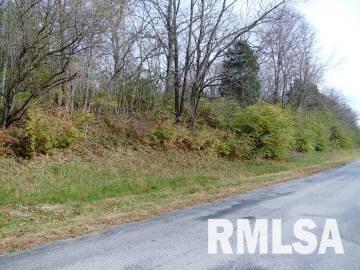 Tbd Goreville Road Goreville, IL 62939 - Photo 1 of 3