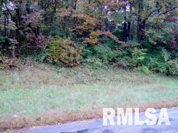 Tbd Goreville Road Goreville, IL 62939 - Photo 2 of 3