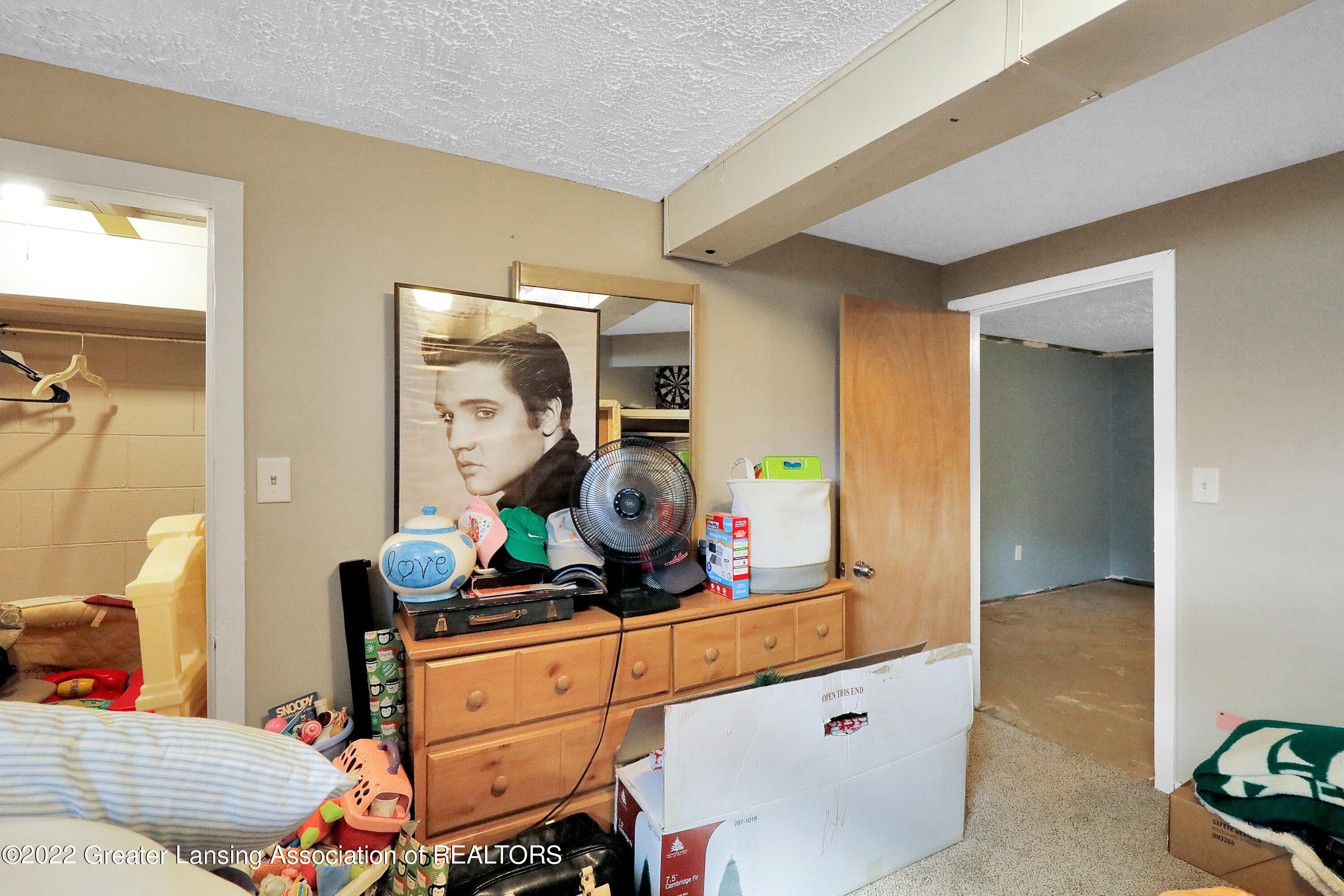 1481 Gidner Road Charlotte, MI 48813 - Photo 25 of 34 _I3A0893