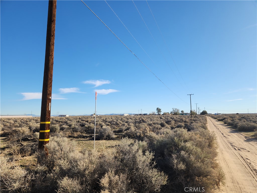 20-ac Edie Road Hinkley, CA 92347 - Photo 5 of 13 a view of a dry yard with a tree