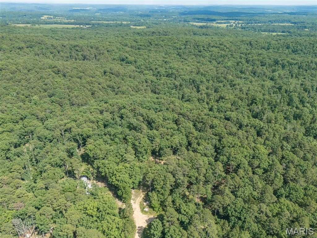 10130 Fish Hook Road Potosi, MO 63664 - Photo 26 of 29