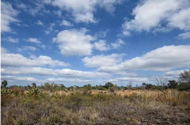 $28,000 | 15997 Northwest 270th Street, Okeechobee, FL 34972