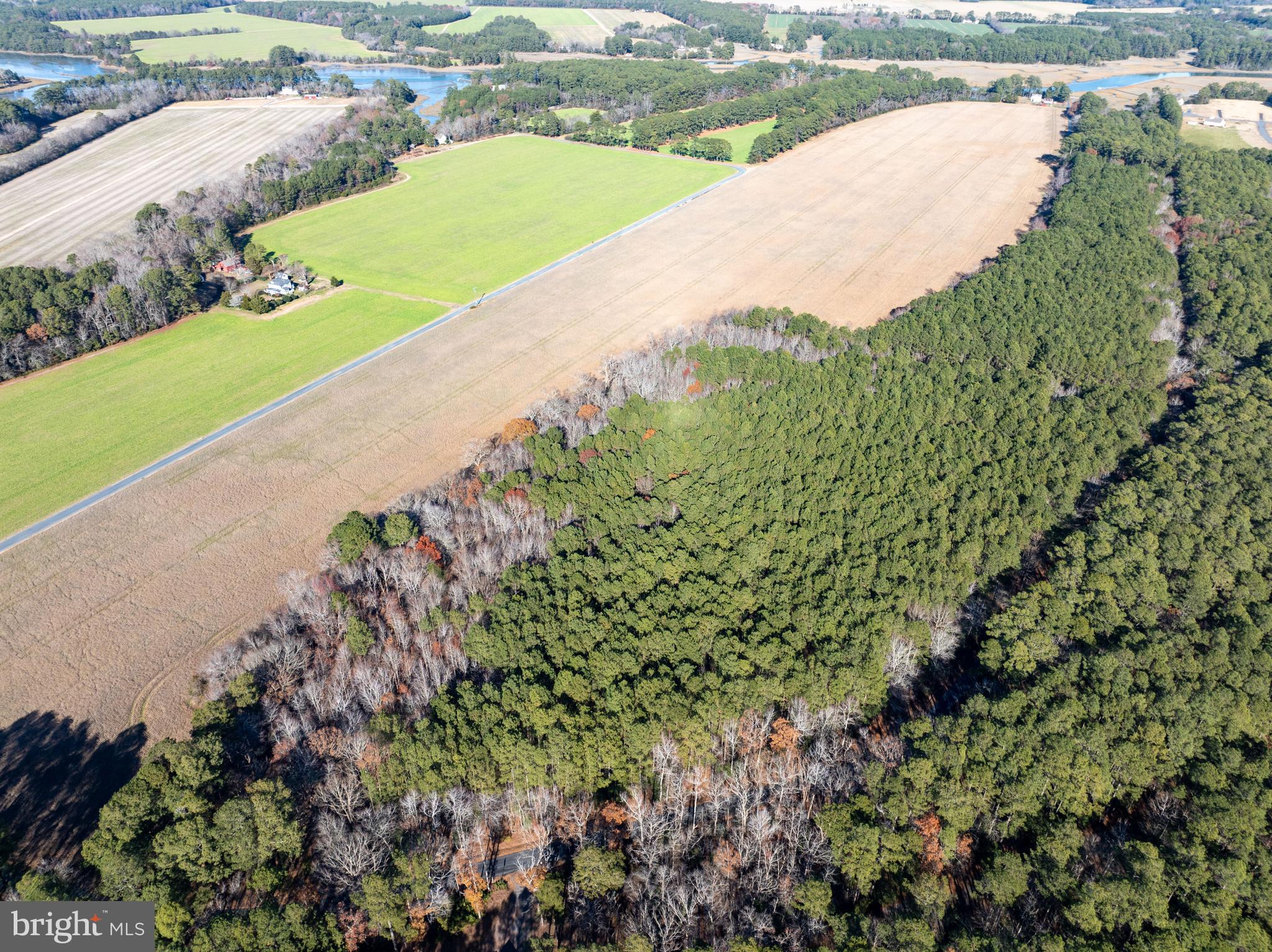 Folly Creek Road Accomac, VA 23301 - Photo 11 of 15 a view of a lake with a yard and lake view