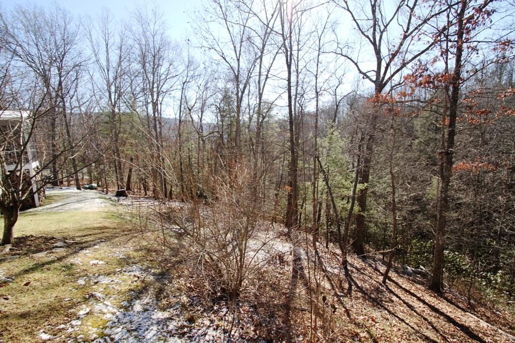 2114 Stone House Road Caldwell, WV 24925 - Photo 34 of 40 Gallery Image 34