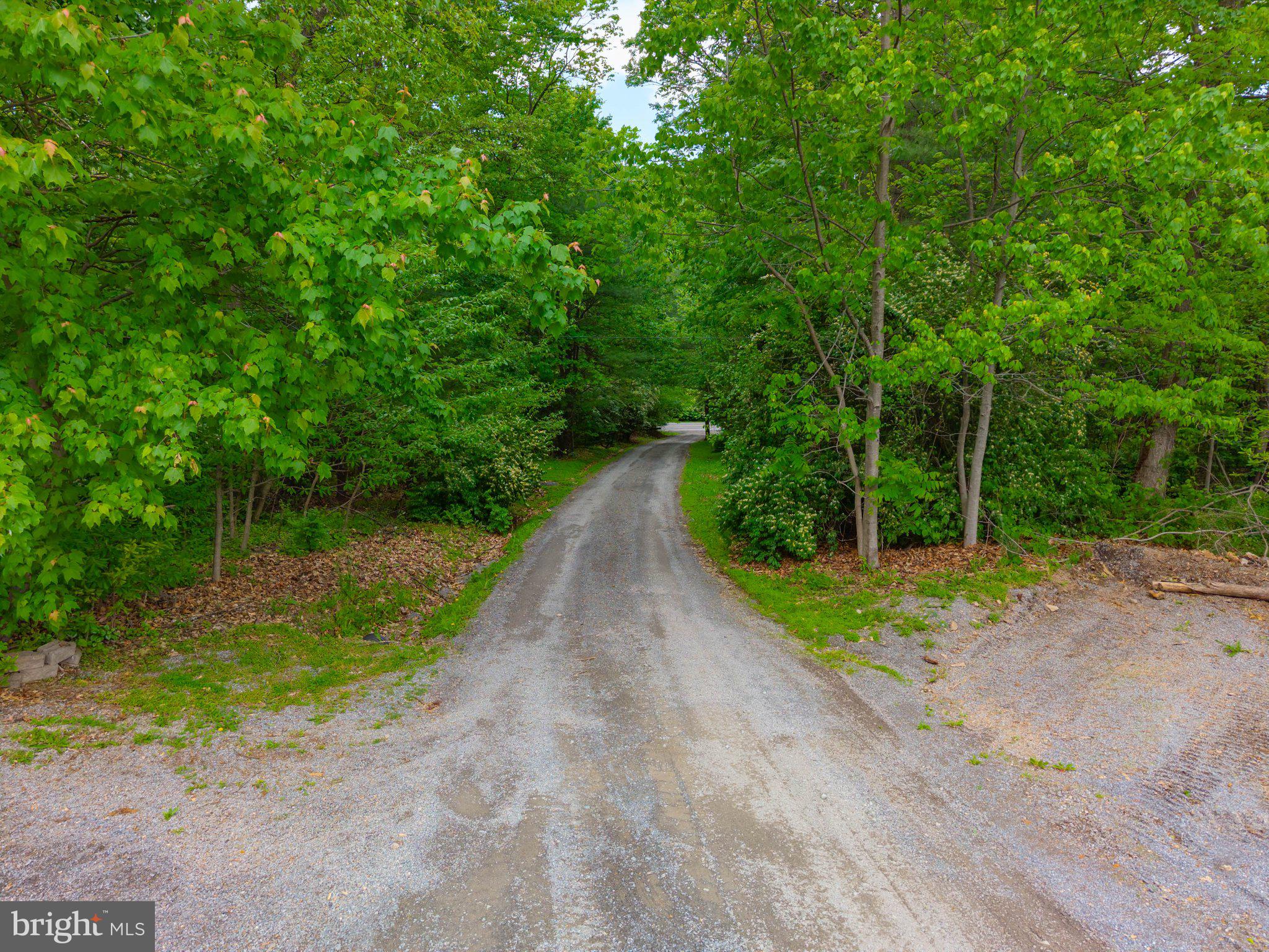 2201 Blain Road Loysville, PA 17047 - Photo 87 of 89 Serene path through lush greenery.