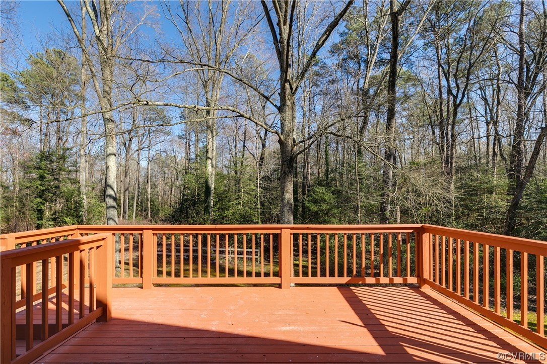 7011 Conifer Road Richmond, VA 23237 - Photo 27 of 33 Gallery Image 27