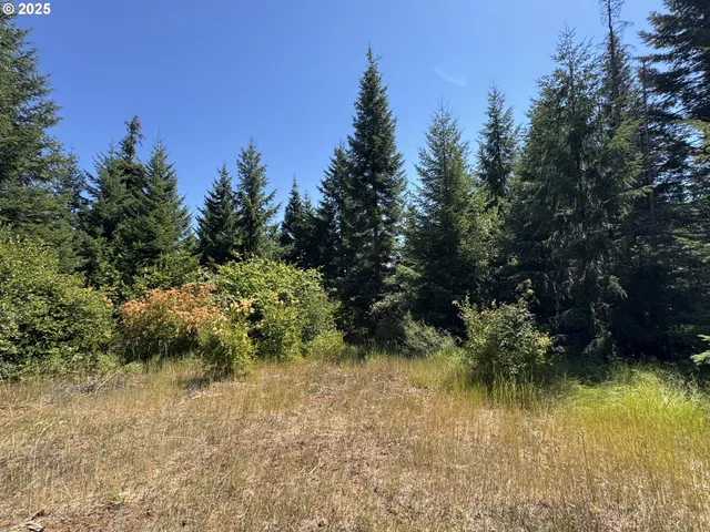 a view of lake background with houses