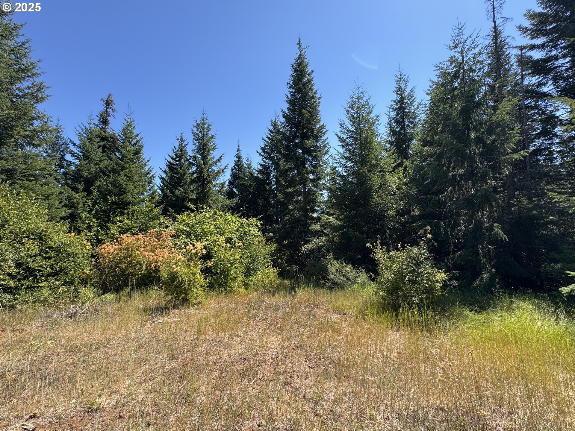 a view of lake background with houses