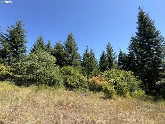 a view of a lake view