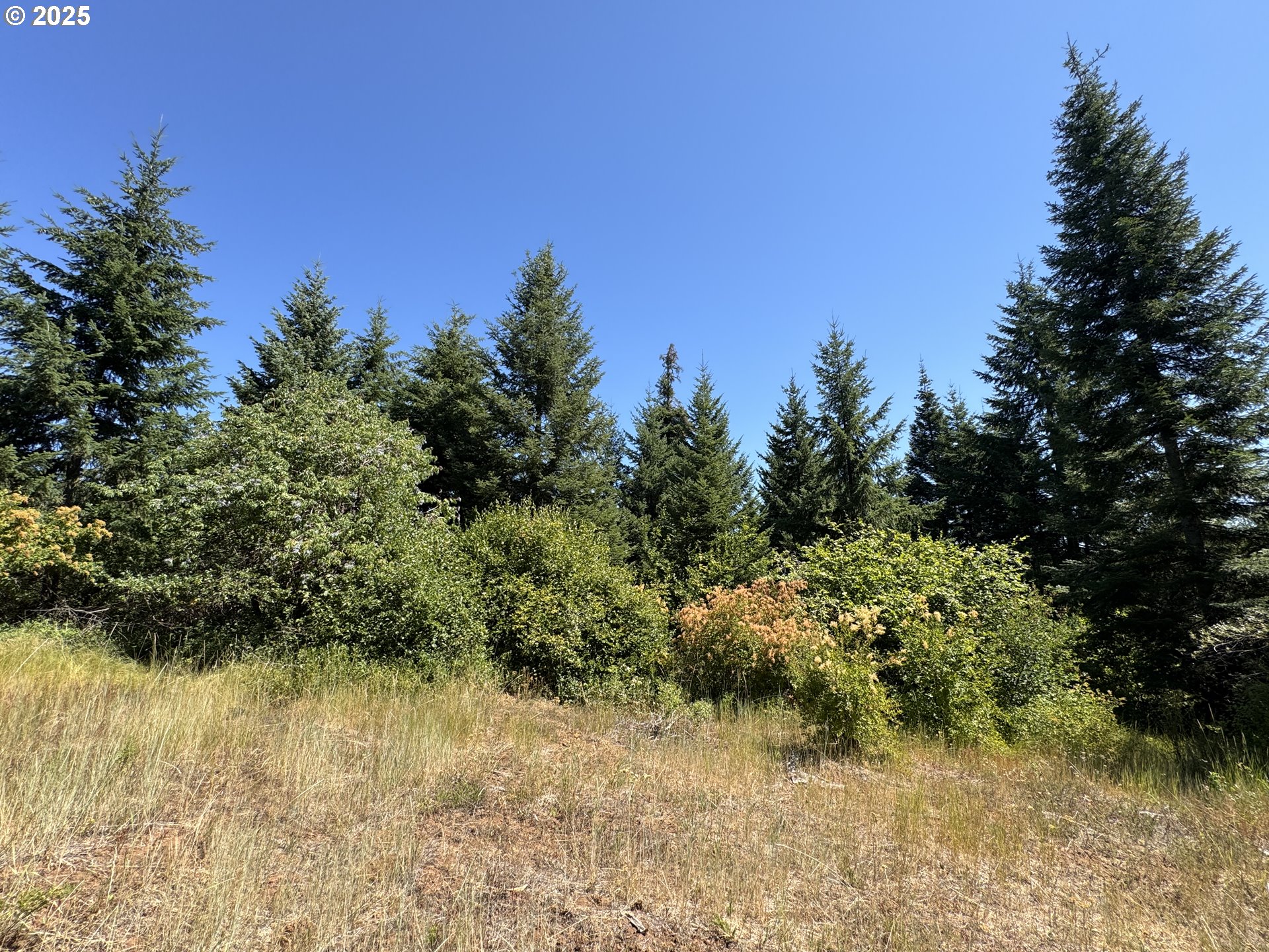 Snowden White Salmon, WA 98672 - Photo 11 of 30 a view of a lake view