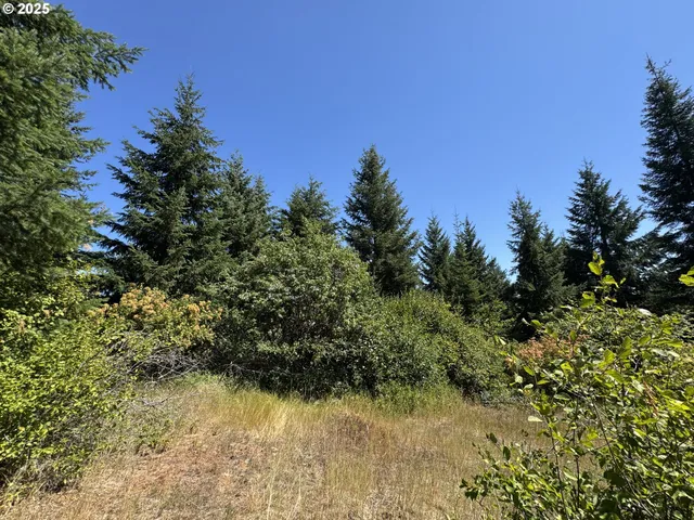 a view of a lake with a tree in the background