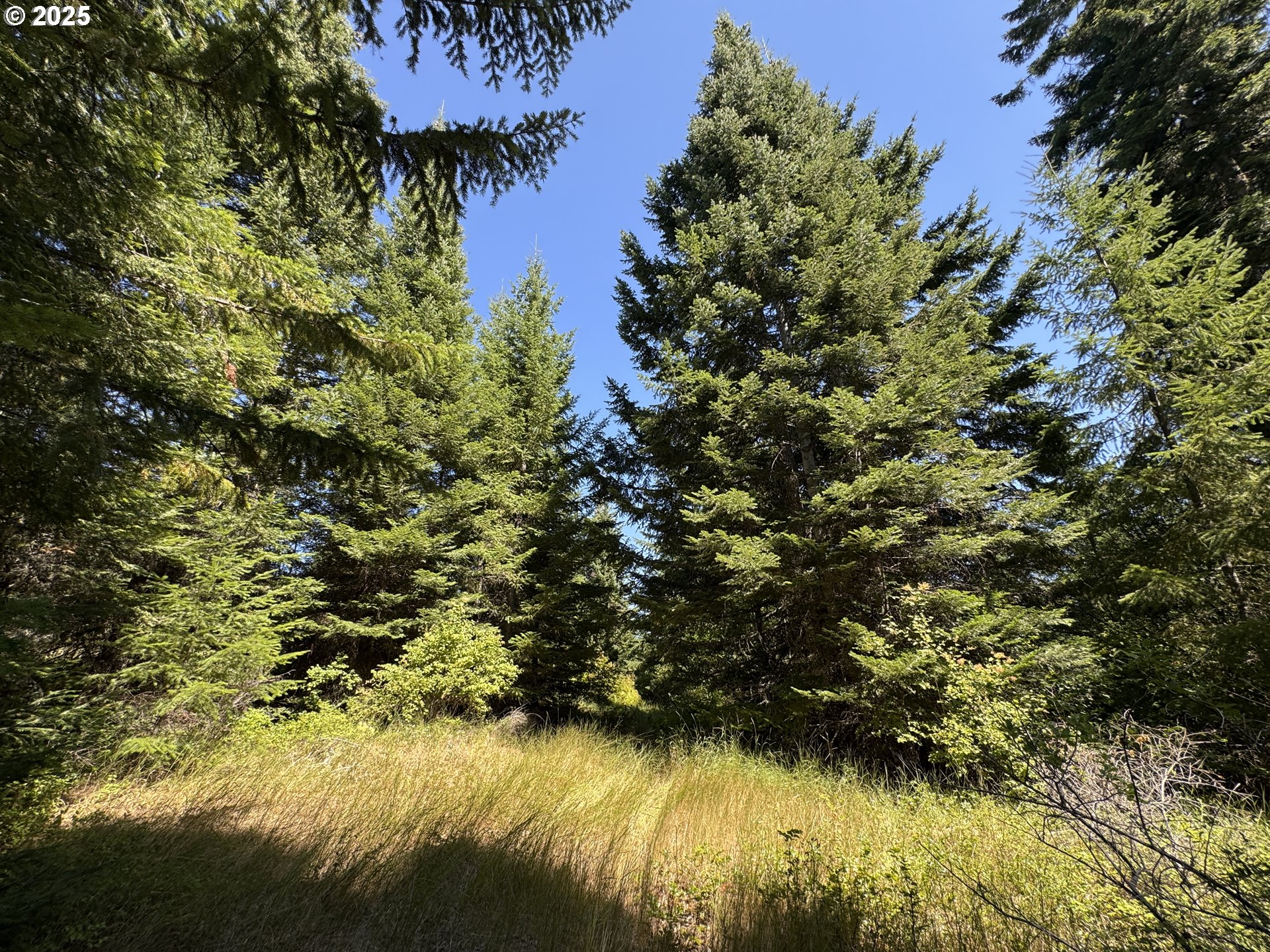 Snowden White Salmon, WA 98672 - Photo 14 of 30