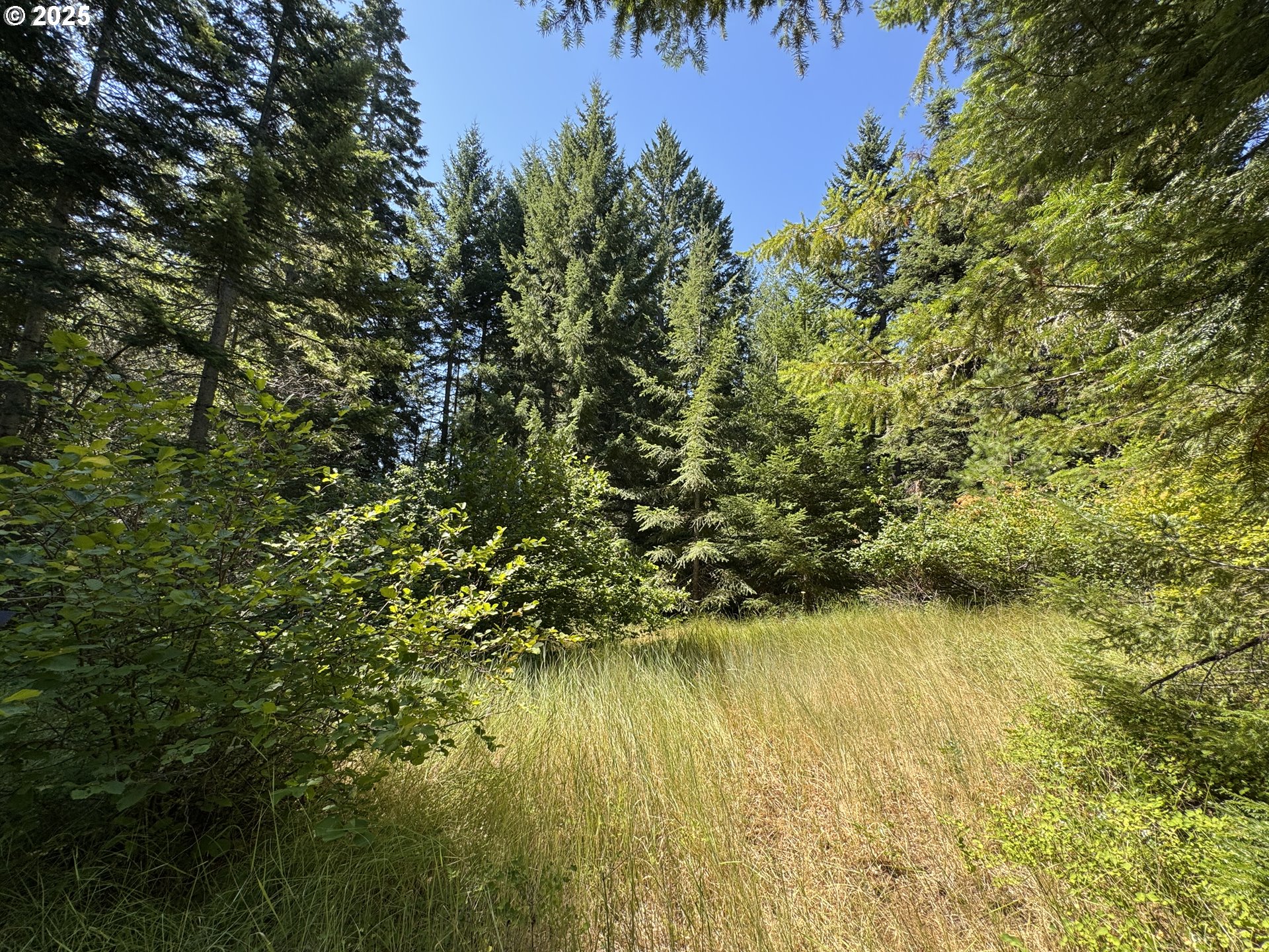 Snowden White Salmon, WA 98672 - Photo 16 of 30 a view of a lake view
