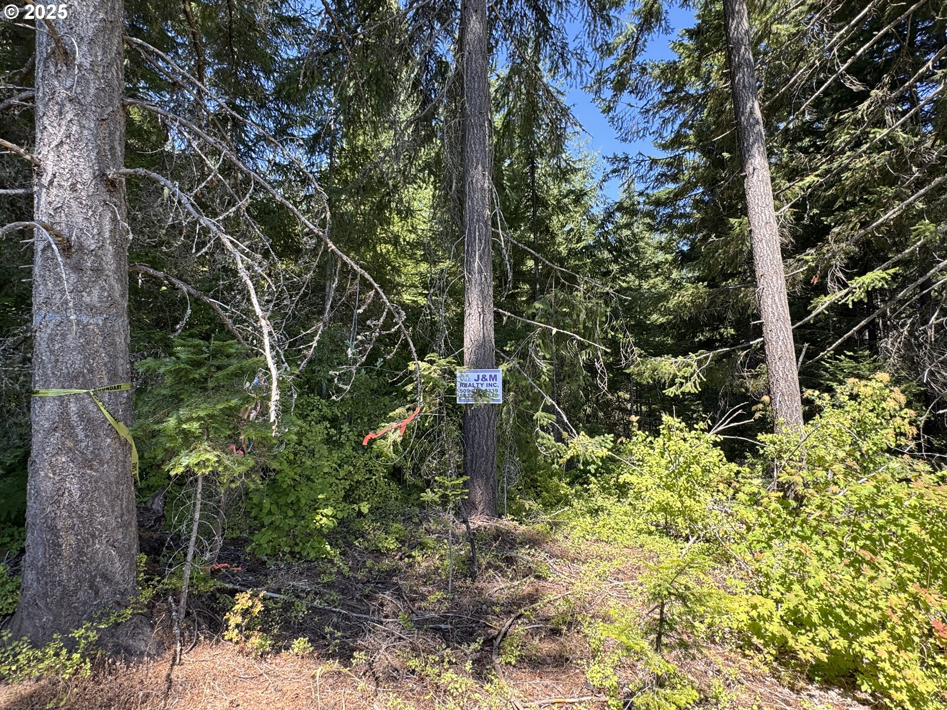 Snowden White Salmon, WA 98672 - Photo 19 of 30 a fire hydrant in middle of the forest
