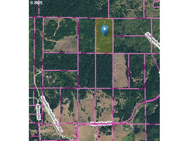 Snowden White Salmon, WA 98672 - Photo 20 of 30 a view of outdoor space and garden