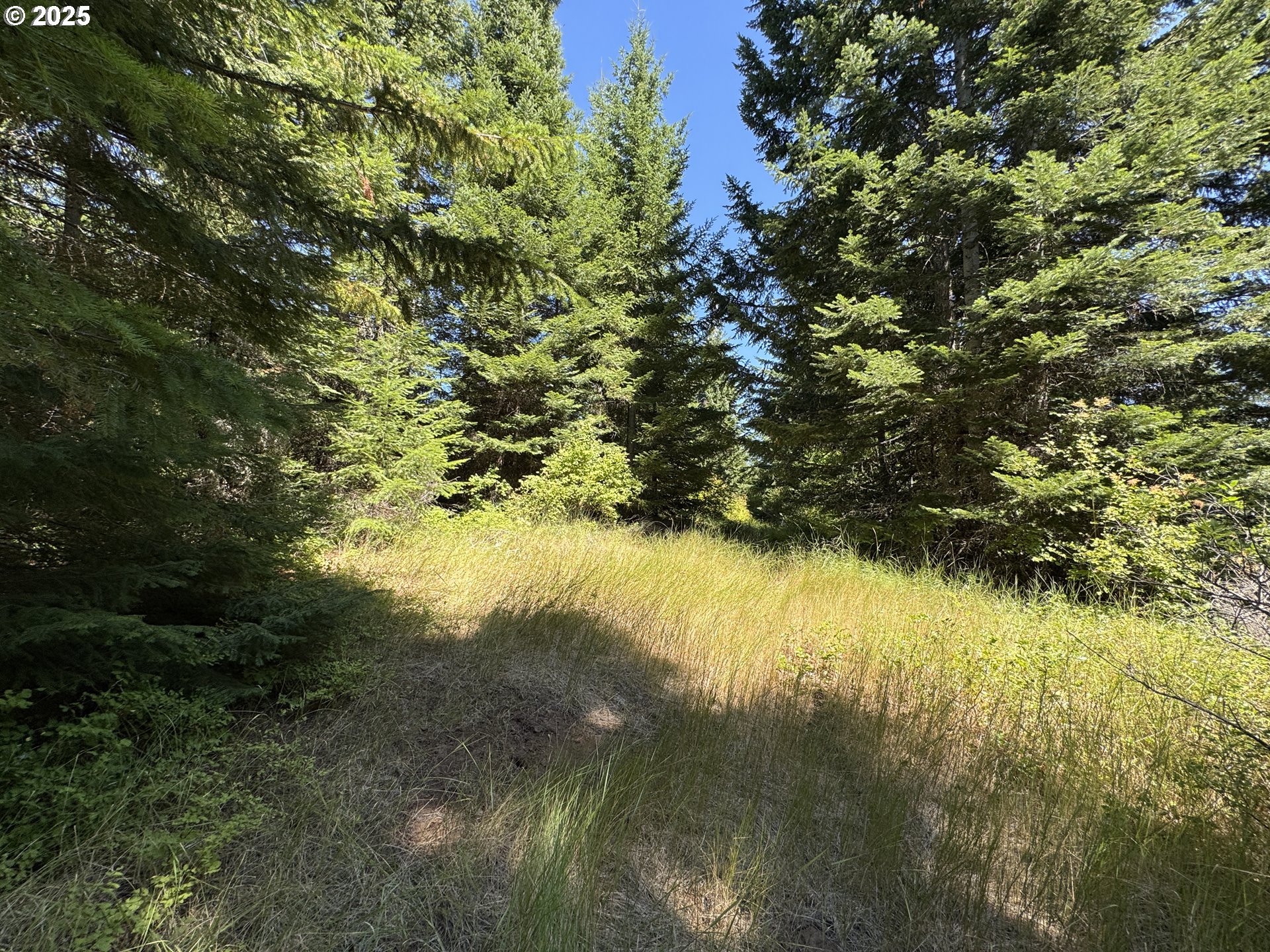 Snowden White Salmon, WA 98672 - Photo 2 of 30 a view of lake