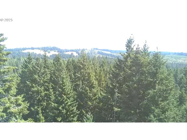 a open area with view of trees