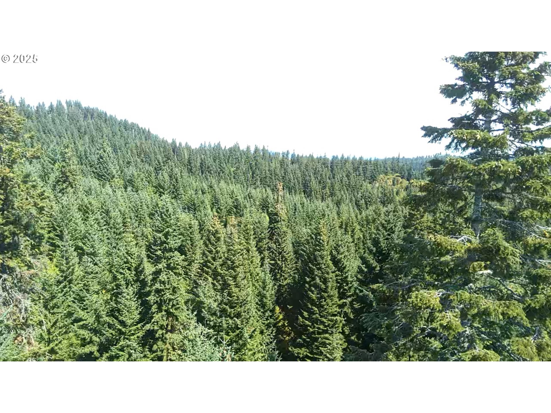 Snowden White Salmon, WA 98672 - Photo 23 of 30 a open area with view of trees