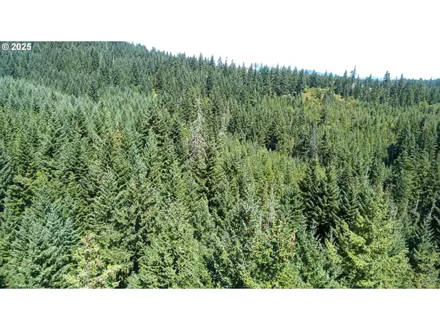 a open area with green field