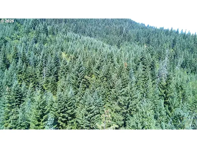 a open area with green field