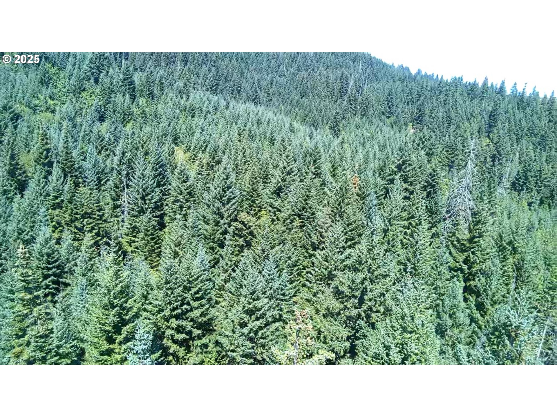 Snowden White Salmon, WA 98672 - Photo 25 of 30 a open area with green field