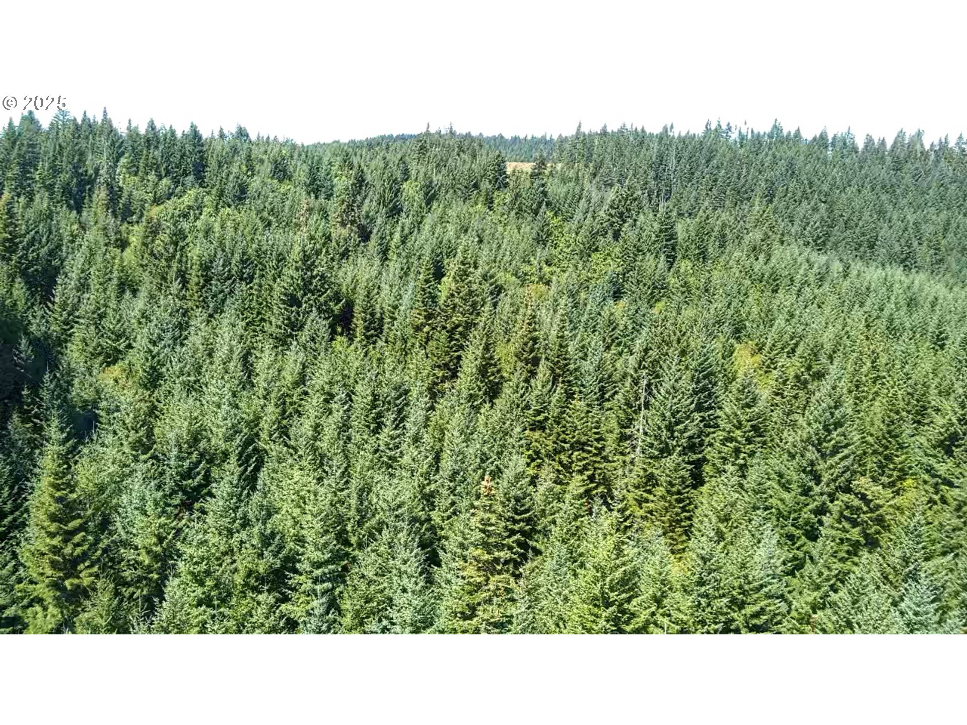 Snowden White Salmon, WA 98672 - Photo 26 of 30 a open area with green field