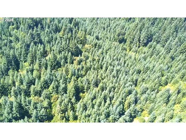 a open area of a house with a garden