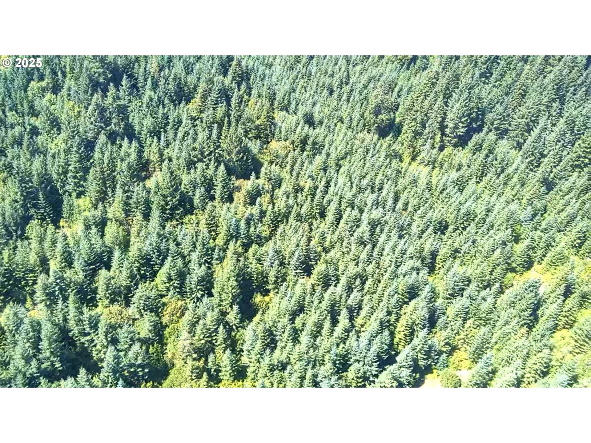 Snowden White Salmon, WA 98672 - Photo 28 of 30 a open area of a house with a garden