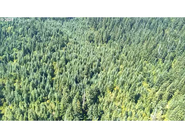 a open area of a house with a yard