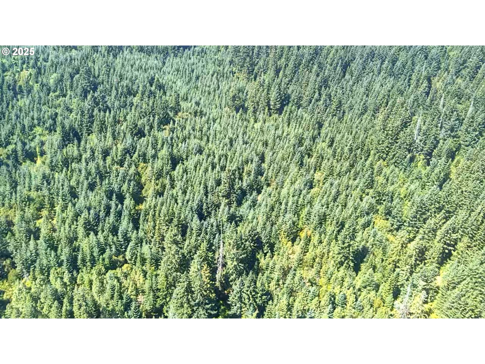 Snowden White Salmon, WA 98672 - Photo 29 of 30 a open area of a house with a garden