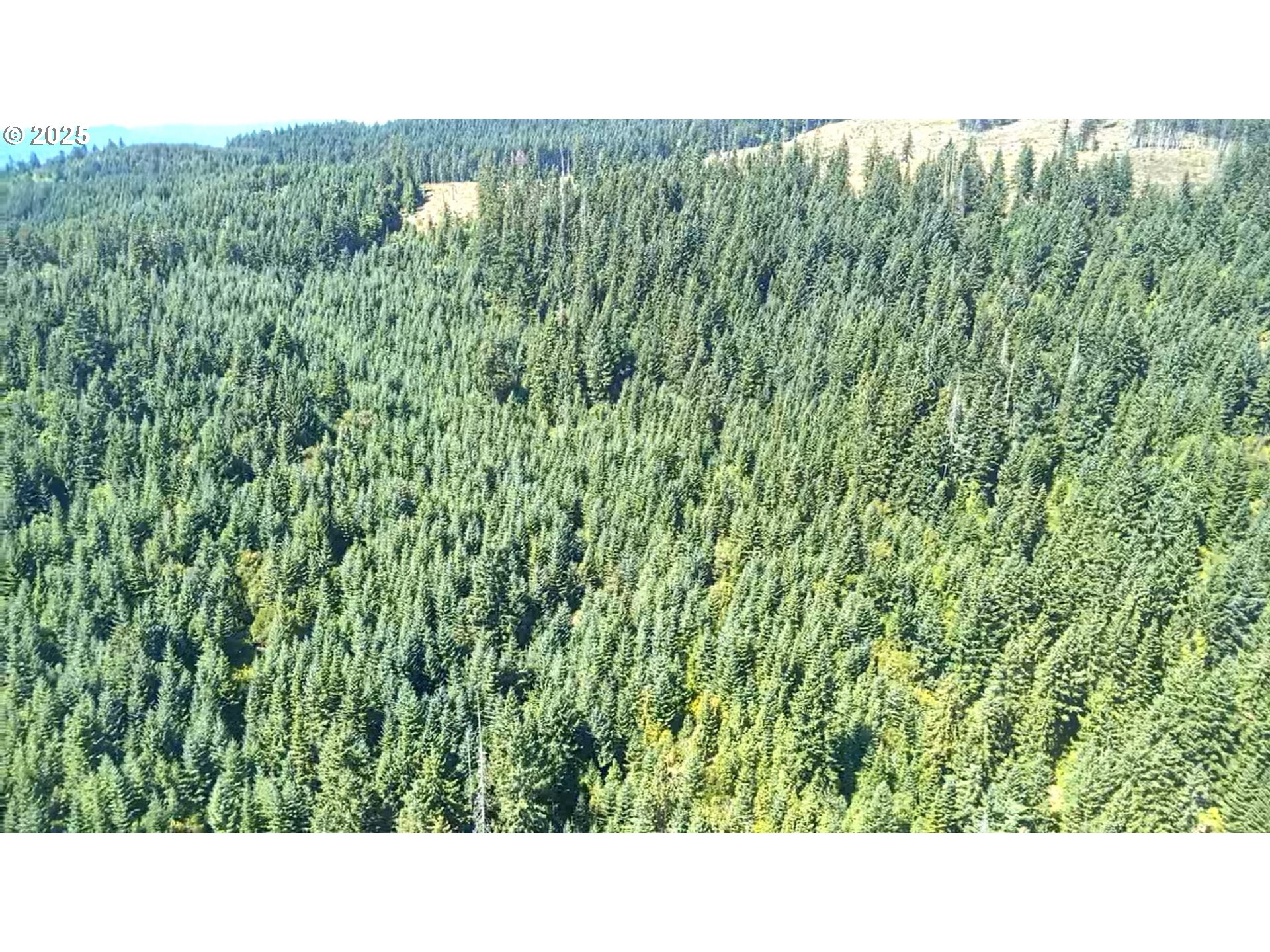 Snowden White Salmon, WA 98672 - Photo 30 of 30 a open area of a house with a yard