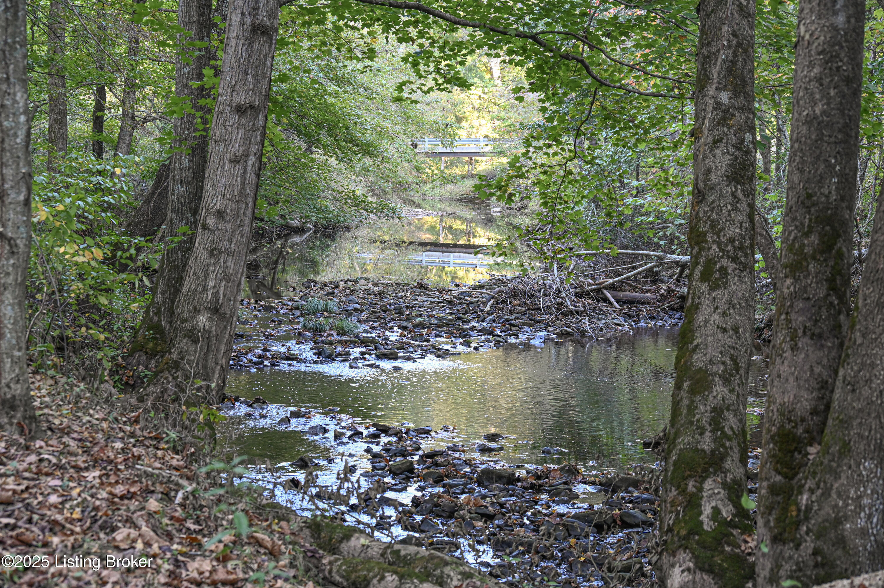 981 Limp Road Big Clifty, KY 42712 - Photo 28 of 44 32-DSC_0842