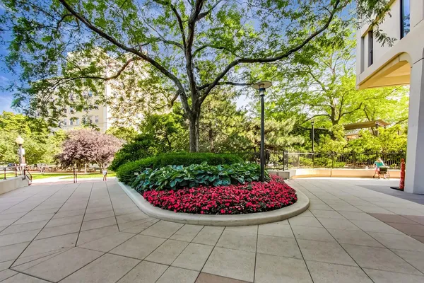 a view of a backyard of the house