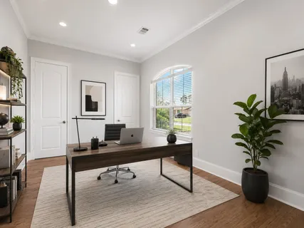 a living room with furniture and a potted plant