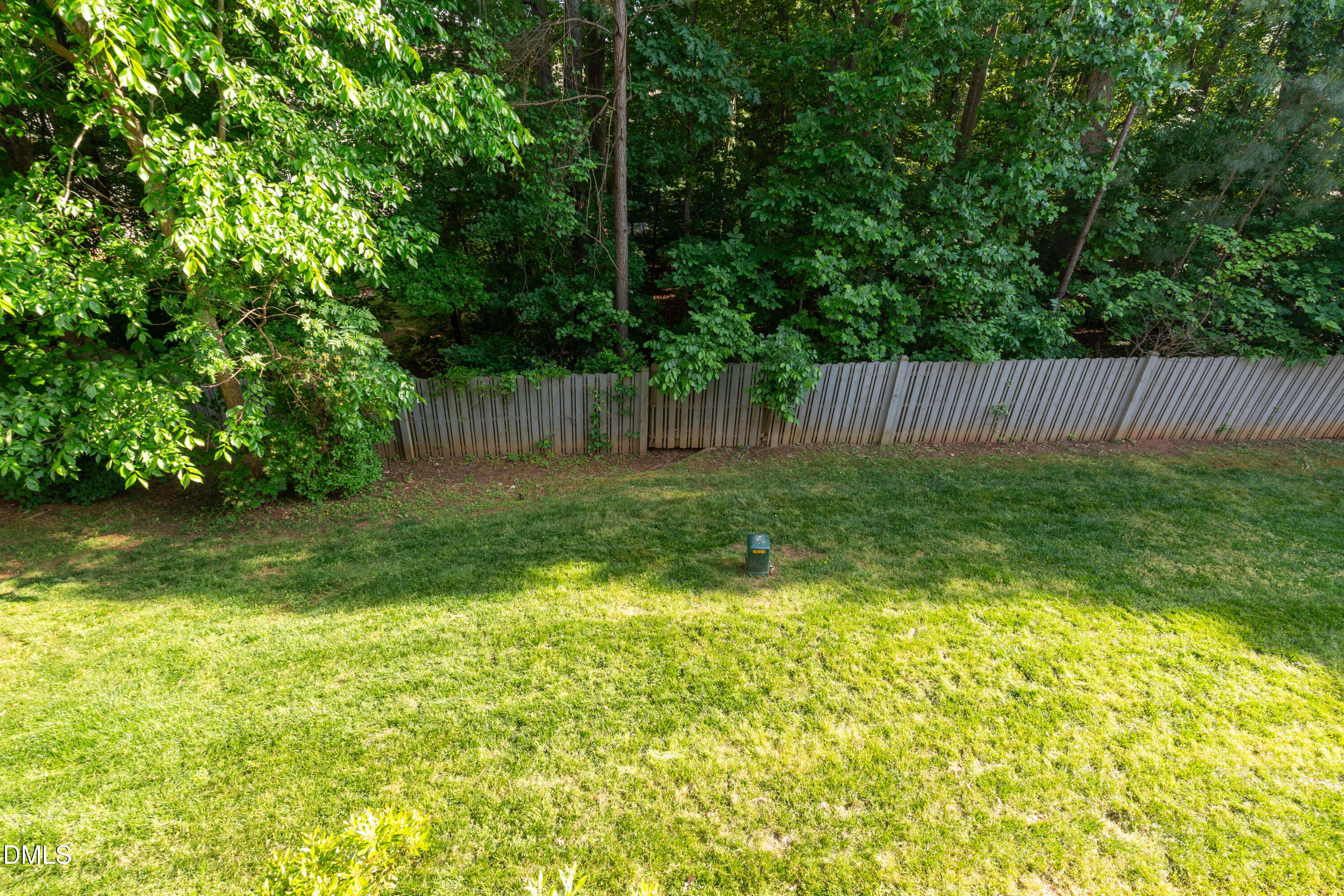 5421 Golden Arrow Lane Raleigh, NC 27613 - Photo 45 of 49 a view of a yard with a large trees