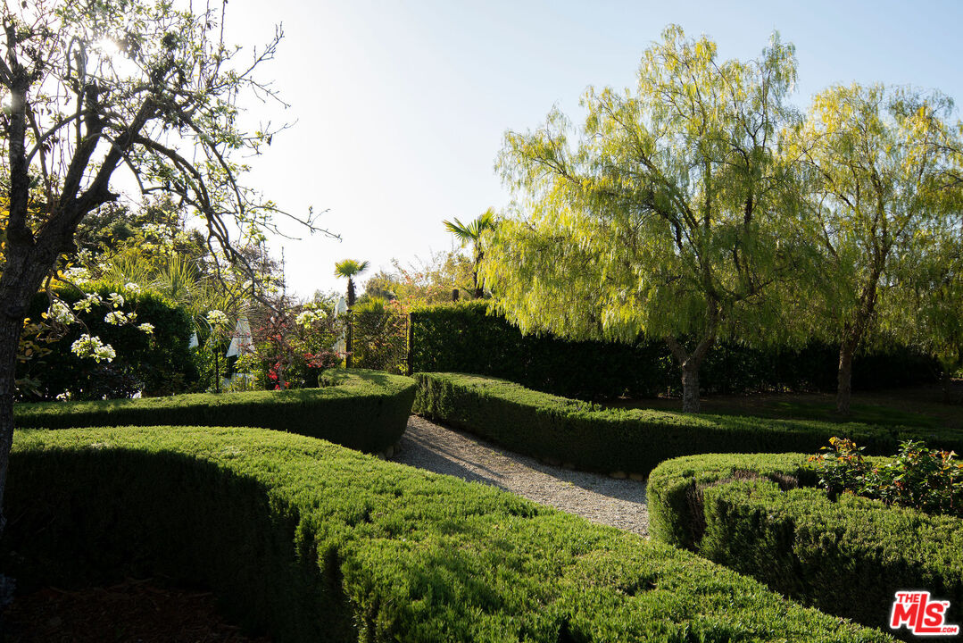 San Antonio Street Ojai, CA 93023 - Photo 32 of 73 a view of a garden with a bench in a garden