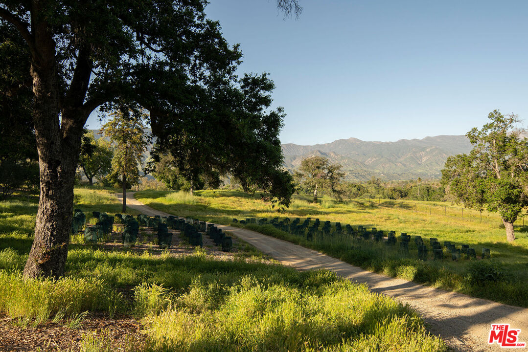 San Antonio Street Ojai, CA 93023 - Photo 67 of 73 a view of a lake view with houses