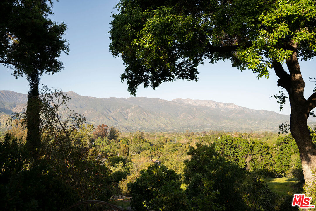 San Antonio Street Ojai, CA 93023 - Photo 70 of 73 a view of a mountain with a tree in the background