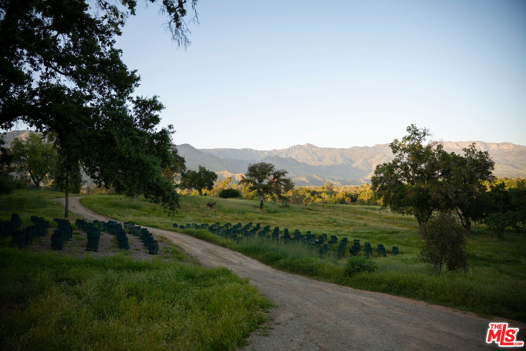 San Antonio Street Ojai, CA 93023 - Photo 71 of 73