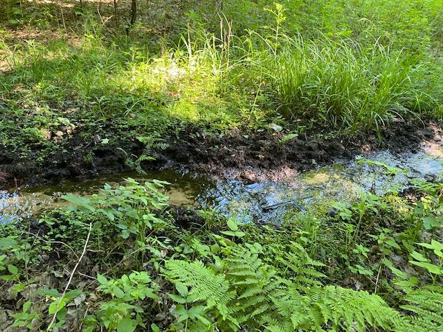 Seldon Road Petoskey, MI 49770 - Photo 12 of 21 Gallery Image 12