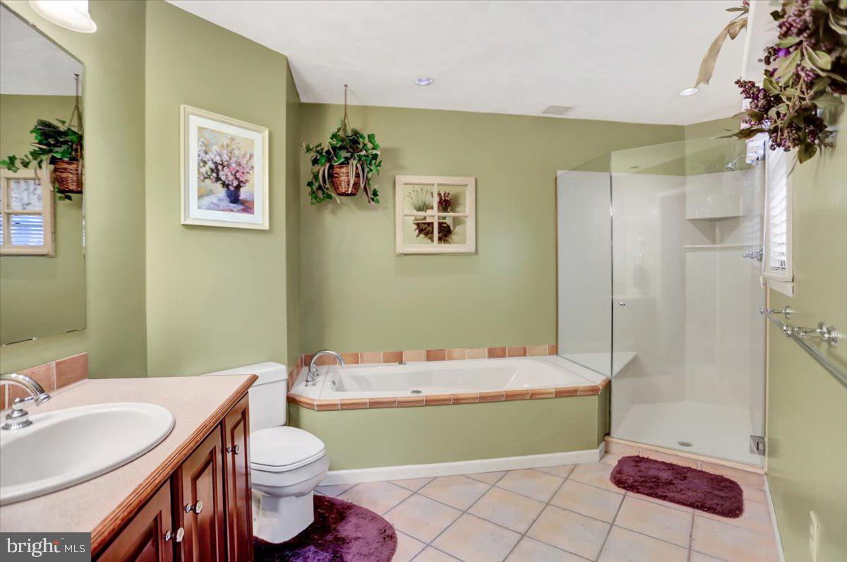 1294 Glatco Lodge Road Hanover, PA 17331 - Photo 31 of 67 Shower refinished 2021