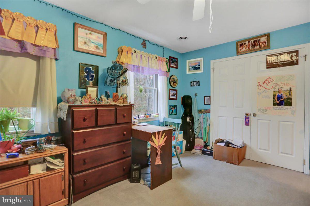 1294 Glatco Lodge Road Hanover, PA 17331 - Photo 33 of 67 Great closet space
