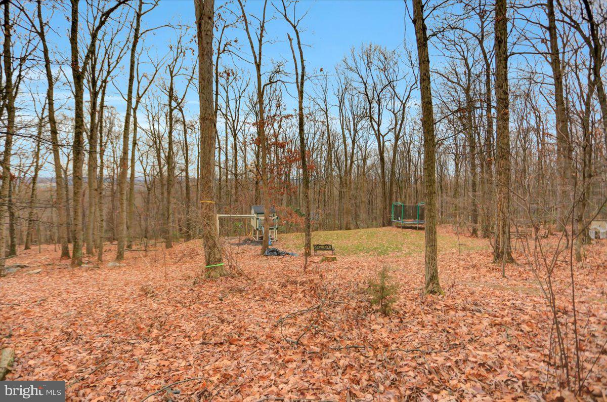 1294 Glatco Lodge Road Hanover, PA 17331 - Photo 46 of 67 Mature landscaping for privacy and views
