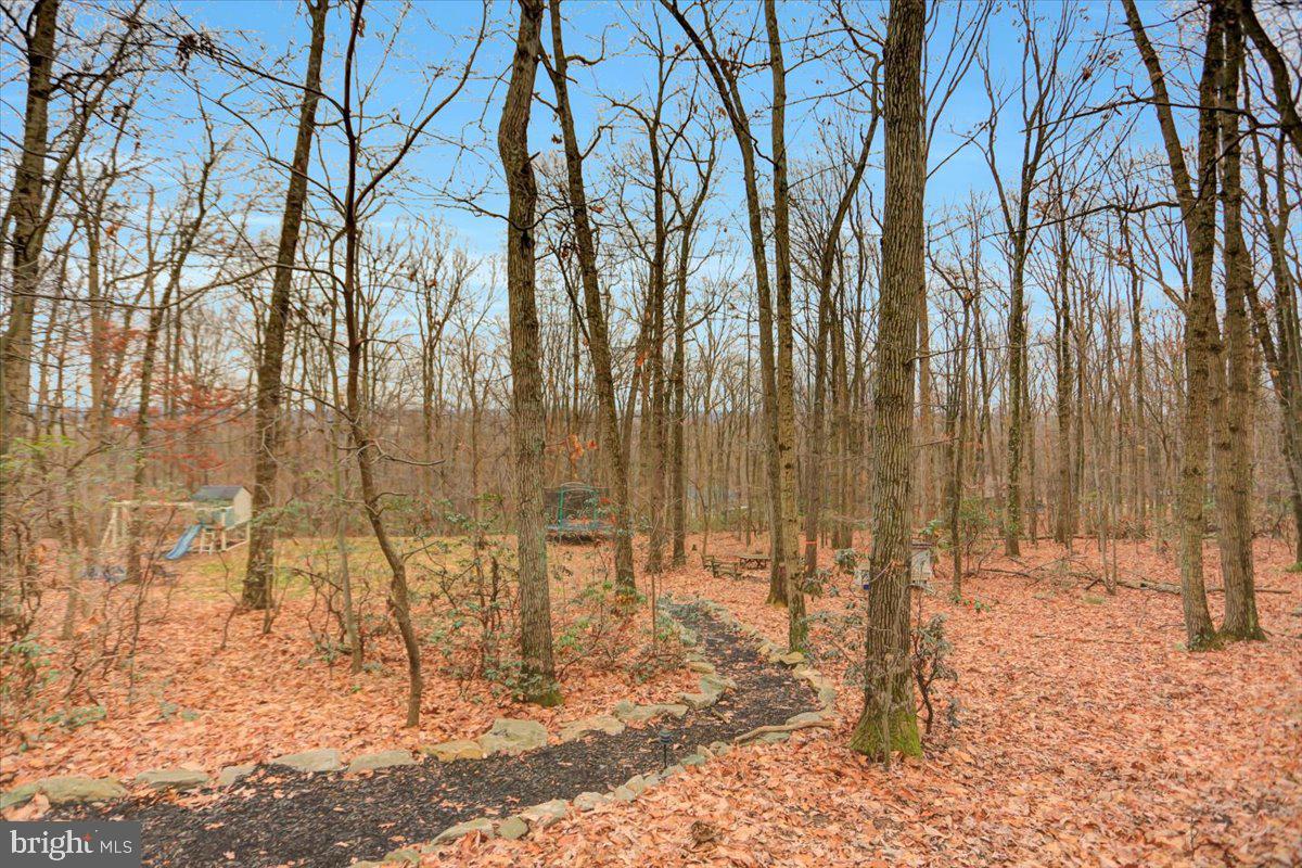1294 Glatco Lodge Road Hanover, PA 17331 - Photo 54 of 67 Forge your own path in your new home