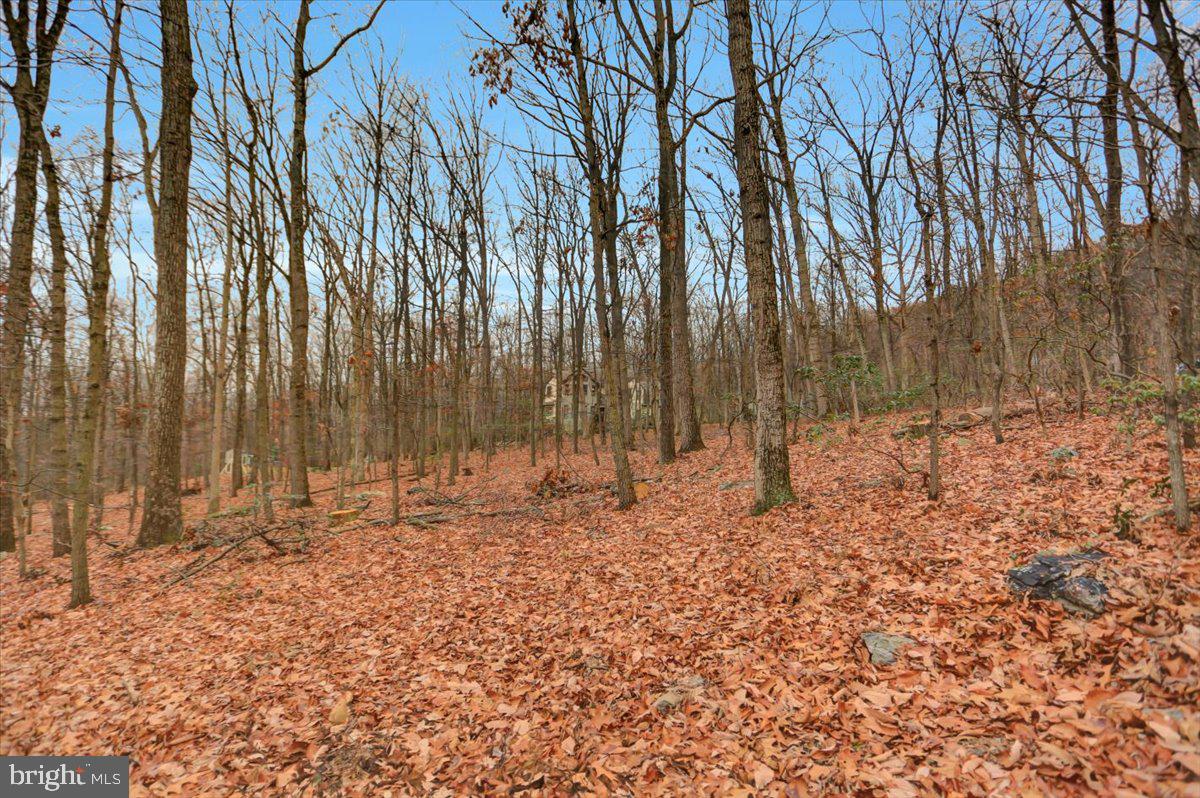 1294 Glatco Lodge Road Hanover, PA 17331 - Photo 64 of 67 Private 3.01-acre lot