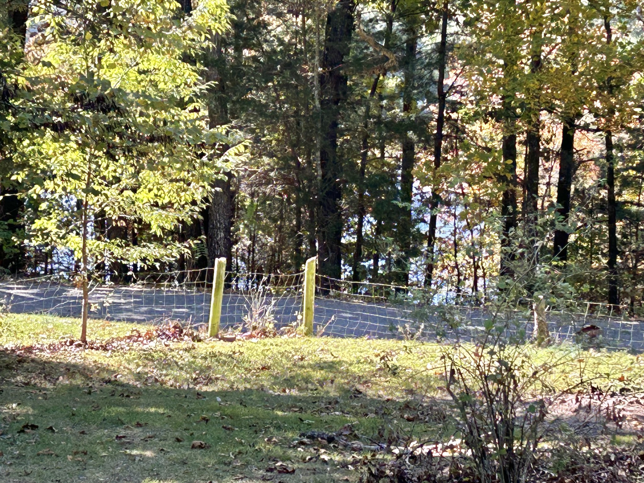 823 Toliver Lake Road Manchester, TN 37355 - Photo 57 of 61 Gallery Image 57