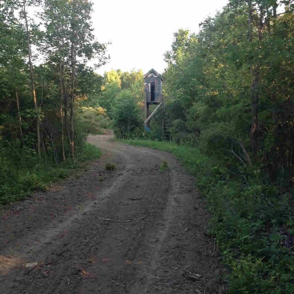 0 Nettney Capac, MI 48014 - Photo 24 of 32