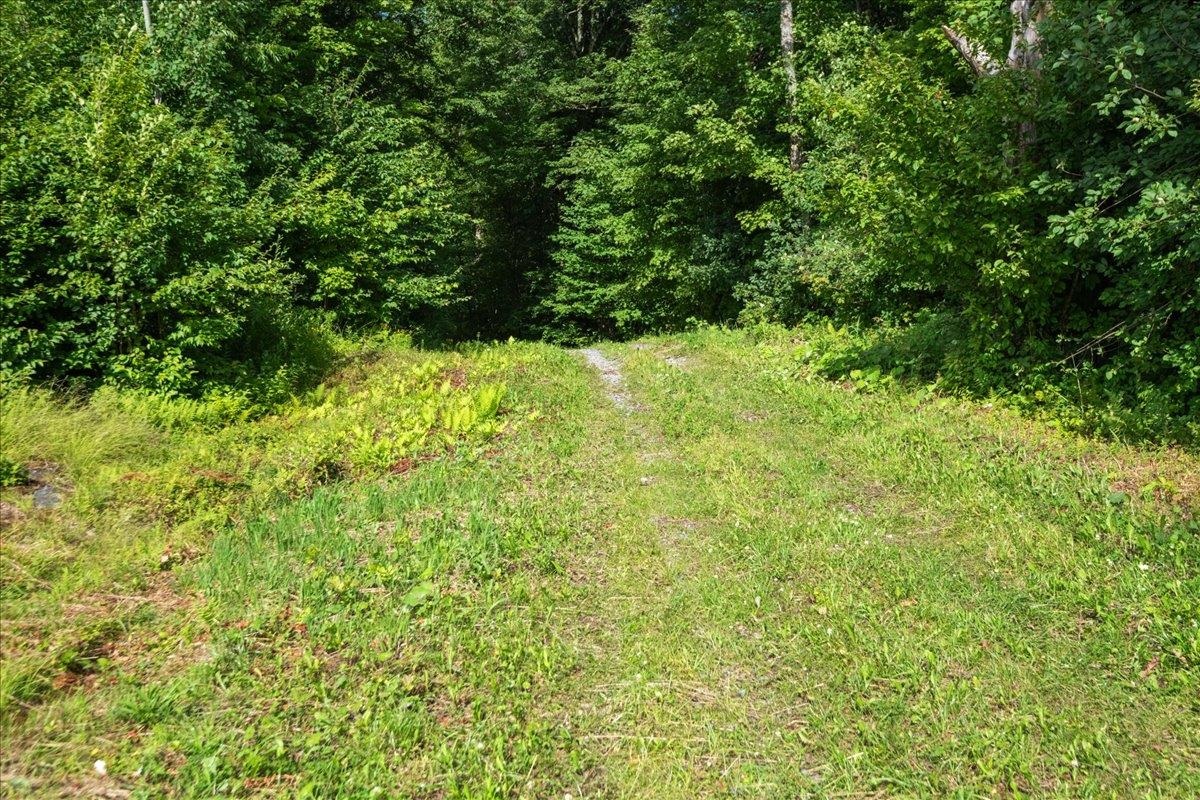 0 Deep Gibou Road Montgomery Center, VT 05471 - Photo 30 of 33