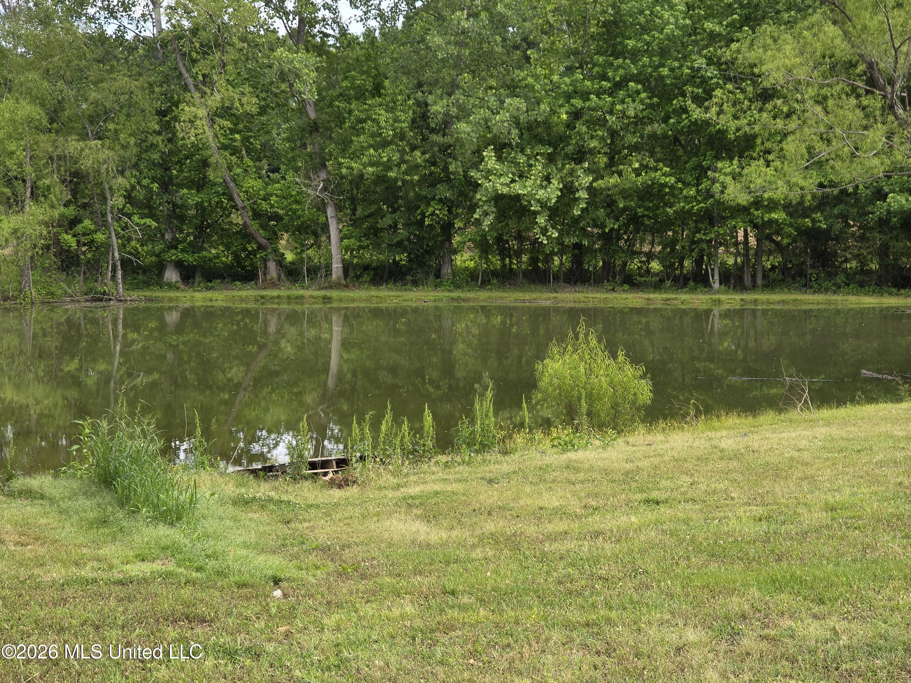 565 Alred Road Coldwater, MS 38618 - Photo 13 of 16 20260501_085903