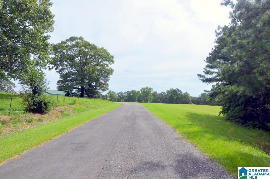 1155 Walkers Crossing Road Pell City, AL 35128 - Photo 3 of 37